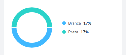 gráfico raça/etnia